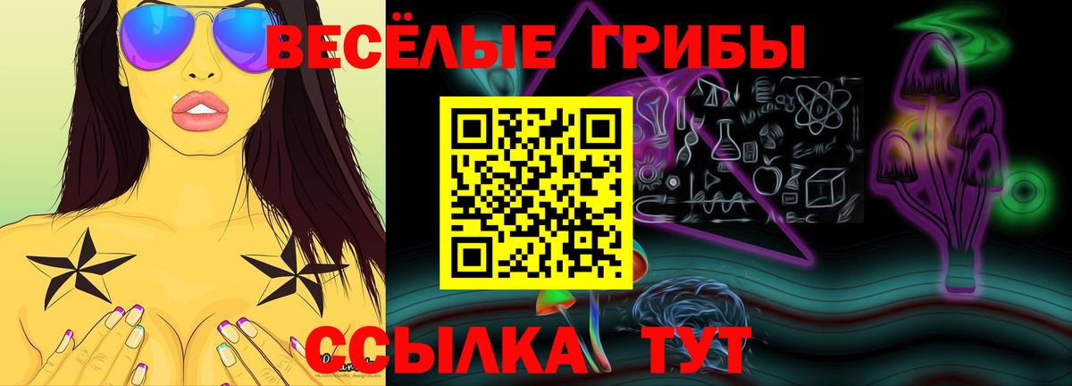 Галлюциногенные грибы Magic Shrooms Ишим